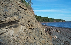 miguasha cliffs