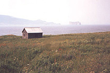 L’île Bonaventure avec, en arrière-plan, le Rocher Percé. (Photo - Matthew Farfan)