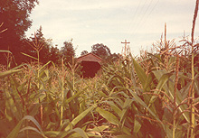 Marois Bridge, Gracefield, 1984. Privately owned, this bridge may be difficult to photograph at harvest time! (Photo - Matthew Farfan)