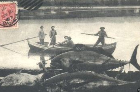 La pêche est formidable en Gaspésie! (carte postale, 1907) / The fishing is great in Gaspé! (Postcard, 1907)