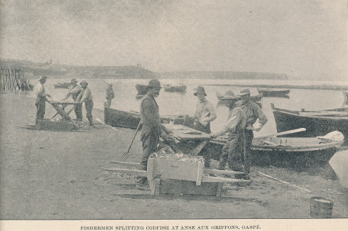 L'Anse aux Griffons, vers 1900 / c.1900