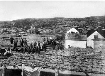 Workers surrounded by drying cod on wooden platforms, or flakes, pose for a photo on Bonne Espérance. Photo: Provincial Archives of Newfoundland and Labrador, VA 85-4