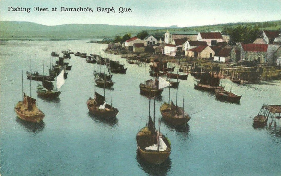 Flottille de pêche, Barrachois, Gaspé, v. 1925 / Fishing fleet, Barrachois, Gaspé, c.1925