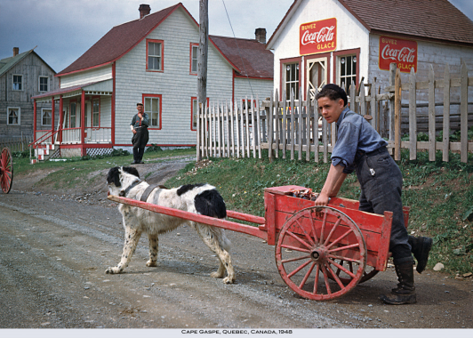 Boy and dog cart, Cape Gaspé, 1948