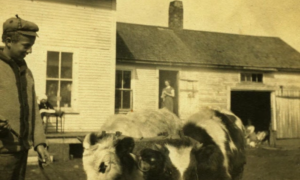 Putting Food on the Table... Stories from Quebec's Farming Past