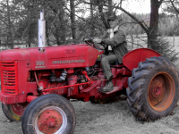 larger_lloyds_tractor_-_300dpi.png