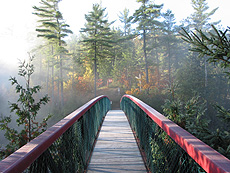 The first bridge. The pine is in evidence everywhere. (Photo - Matthew Farfan)
