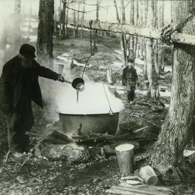 Norman Edson, Sugaring off, Glen Sutton, Quebec, 1910. (Photo - Missisquoi Historical Society Collection)