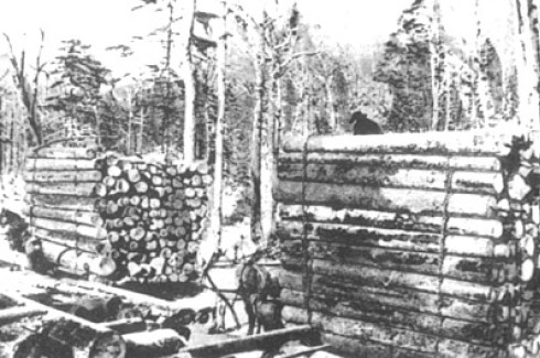 Transport des tronçons / Transporting logs