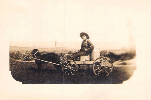 Voiture de laitier, Sayabec, 1907 / Milk wagon, Sayabec, 1907