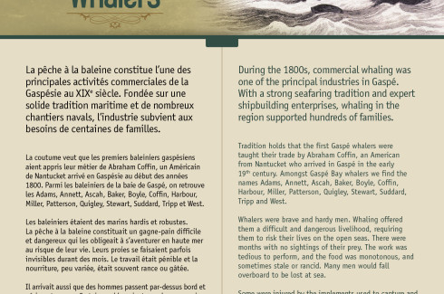 The Gaspé Whalers / Les baleiniers de la Gaspésie