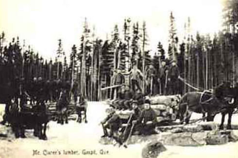 Camp forestier McClaren / McClaren's Lumber Operation
