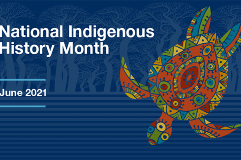 QAHN Salutes "National Indigenous History Month"