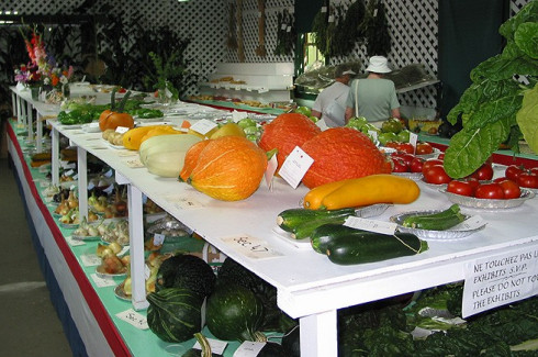 Concours de légumes / Vegie display