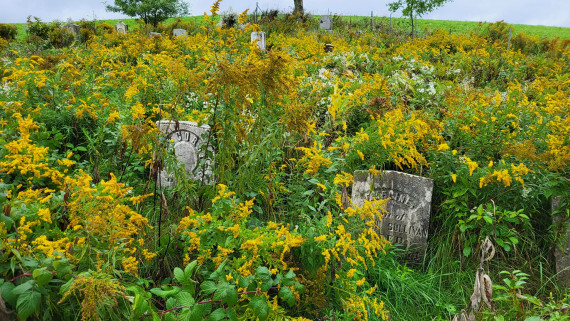 Bickford Corner Cemetery