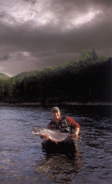 Local guide Jason Ferland, releasing a salmon back into the river. (Photo - Cascapedia River Museum Collection)

