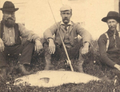 Edmund Davis (au centre) avec sa prise, vers les années 1890. Davis reste le seul pêcheur d'avoir attrapé trois saumons d'Atlantique pesant plus de 50 livres sur la rivière Cascapédia. (Photo - Collection du Musée de la rivière Cascapédia) 