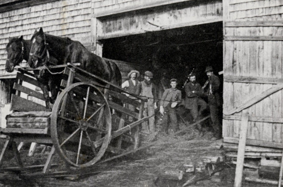 Le battage, vers 1900, une tâche laborieuse accomplie des fois avec l'aide des voisins. (Photo - Collection du Musée de la rivière Cascapédia)