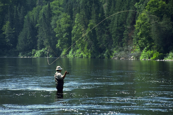 Lee Wolfe, a well known fly fisherman who worked for the conservation of Atlantic salmon, said that an Atlantic salmon is too valuable to catch only once. The Cascapedia River is considered to be one of the best managed salmon fishing rivers in the world, and, although it has faced many challenges, it remains a river with the promise of a tomorrow. (Photo - Cascapedia River Museum Collection)

