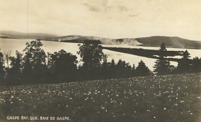 Baie de Gaspé / Gaspé Bay