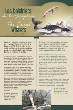 The Gaspé Whalers / Les baleiniers de la Gaspésie