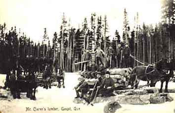 Camp forestier McClaren / McClaren's Lumber Operation