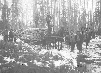 Bûcherons de Montgomery / Montgomery lumberjacks
