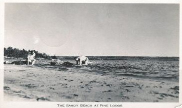 La plage / The beach, Pine Lodge