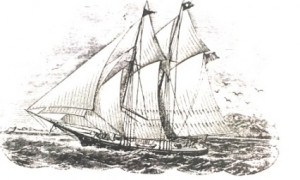 The Whalers of Gaspé Bay