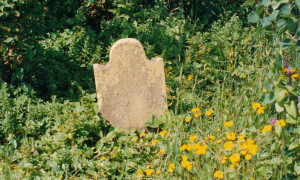 O'Hara Cemetery: Headstone of Felix O'Hara, 1805. (Photo - courtesy of Jim Caputo)