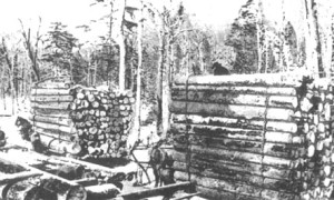 Transport des tronçons / Transporting logs