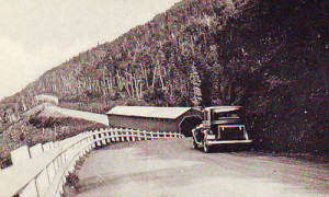 Dans les montagnes / In the Gaspé Mountains