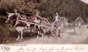 Matapedia Automobile, 1905