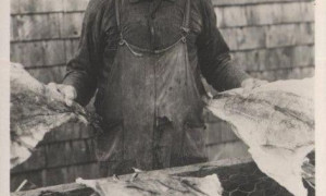 Handling Dried Codfish, Gaspé