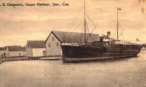 Bateau à vapeur SS Gaspesien, Port de Gaspé, vers 1910 / Steamship SS Gaspesien, Gaspé Harbour, c.1910