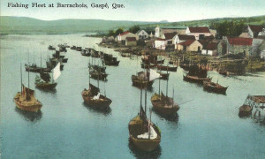 Flottille de pêche, Barrachois, Gaspé, v. 1925 / Fishing fleet, Barrachois, Gaspé, c.1925