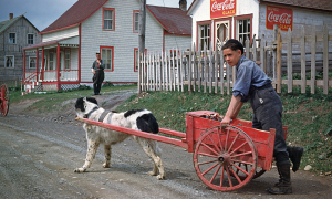 Boy and dog cart, Cape Gaspé, 1948
