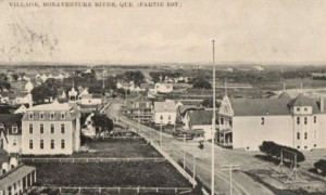 Bonaventure (east part / partie est)