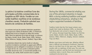 The Gaspé Whalers / Les baleiniers de la Gaspésie