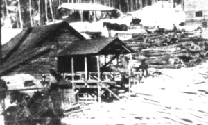 Scierie / Sawmill McColm (Ralston), Black Cape Gully