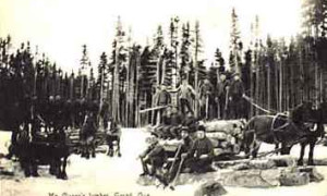 Camp forestier McClaren / McClaren's Lumber Operation