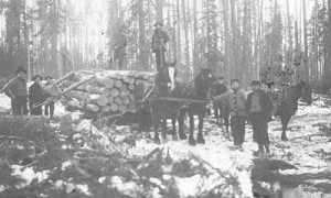 Bûcherons de Montgomery / Montgomery lumberjacks