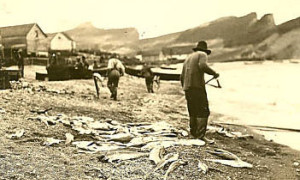 La prise / The catch