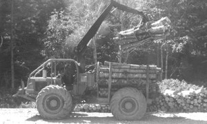 La branche est / Pulp porter, East Branch