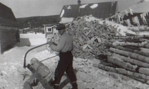 Le sciage / Sawing wood