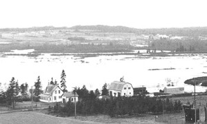 Résidence Steele / Steele Home (1970)