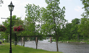 Le parc / Village park (Rivière du Nord)