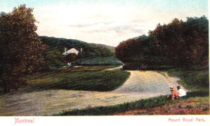 Parc Mont-Royal / Mount Royal Park