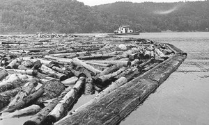 Tug boat towing log boom at Burnett, Chelsea, c.1975