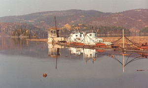 View from Paugan Dam, Low, c.1980